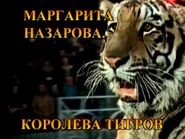 Королева тигров. Маргарита Назарова Королева тигров. Маргарита Назарова