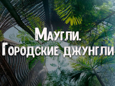 Маугли. Городские джунгли