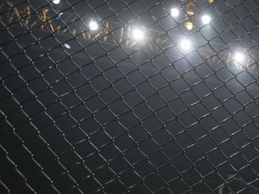 Гладиаторы Гладиаторы