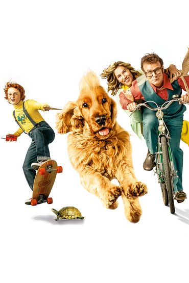 Рыжие против всех Рыжие против всех