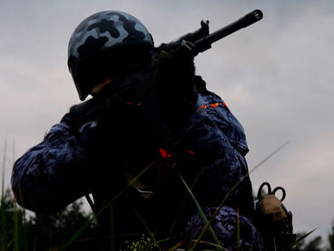 Стражники приграничья Стражники приграничья