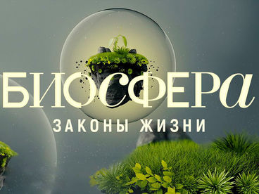 Биосфера. Законы жизни Биосфера. Законы жизни