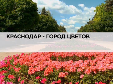 Краснодар - город цветов
