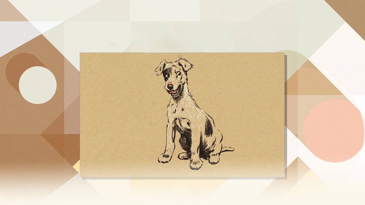 Бобкин день