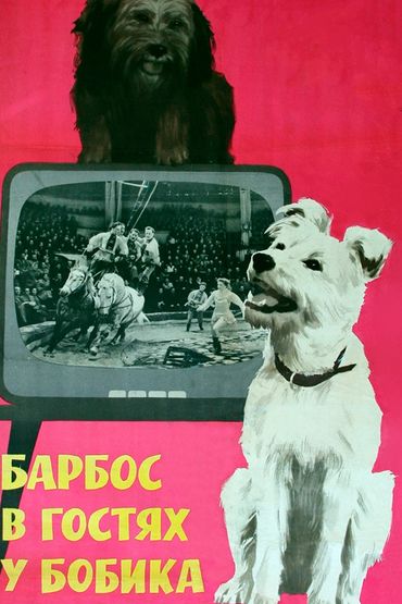 Барбос в гостях у Бобика