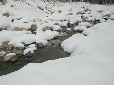 Альпы Австрия