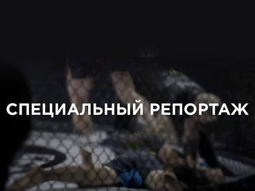 Специальный репортаж Специальный репортаж