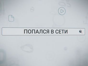 Попался в сети Попался в сети