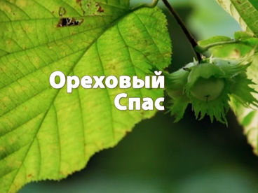 Ореховый Спас. Документальный фильм Ореховый Спас. Документальный фильм