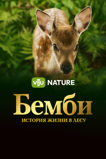 Бемби. История жизни в лесу