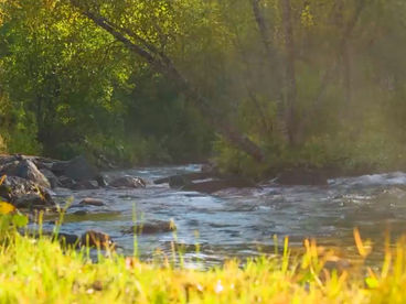 Река Большая Дукка Река Большая Дукка
