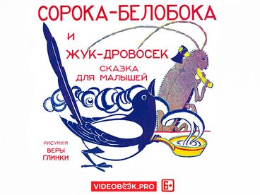 Сорока-белобока
