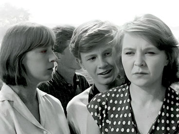 Война под крышами