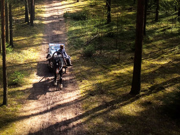 Поиски русских сокровищ Поиски русских сокровищ