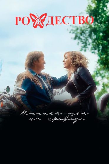 Птичка моя на проводе (feat. Ольга Селезнева) - Рождество