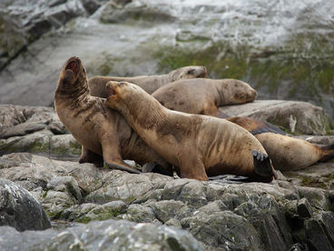 Бескрайний мир океанов