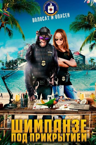 Шимпанзе под прикрытием