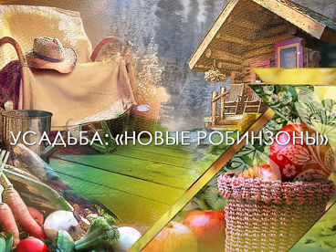 Новые Робинзоны