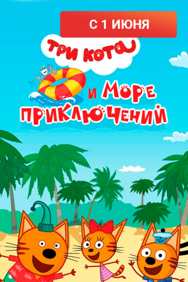Три кота и море приключений