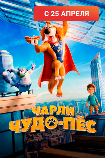 Чарли Чудо-пёс