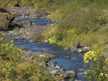 Река Кросса Река Кросса