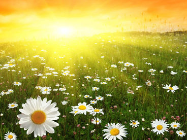 Удачный день Удачный день