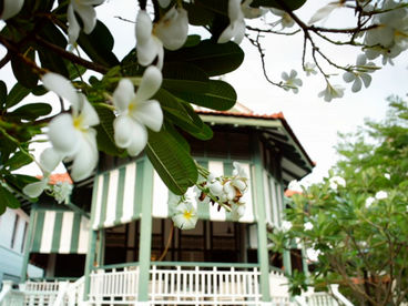 Вот это дом! Вот это дом!