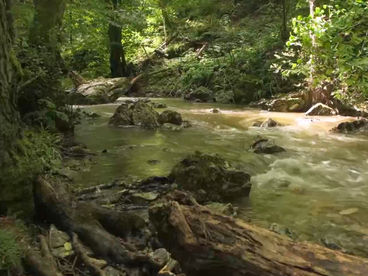 Каньон реки Замна