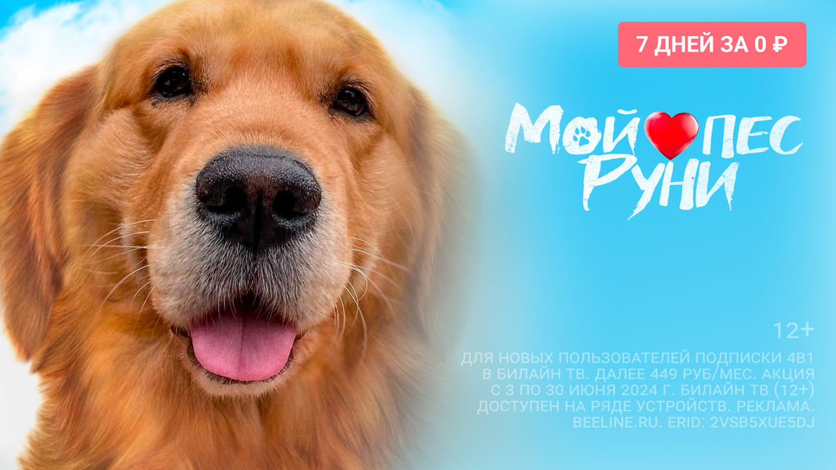 Мой пёс Руни