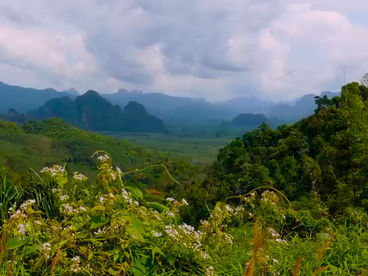 Природный парк Као Сок Природный парк Као Сок