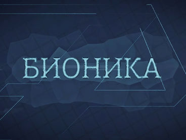 Бионика Бионика