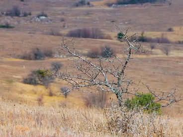 Нижнее плато Четыр-Даг
