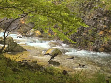 Река Торренте Дардагна Река Торренте Дардагна