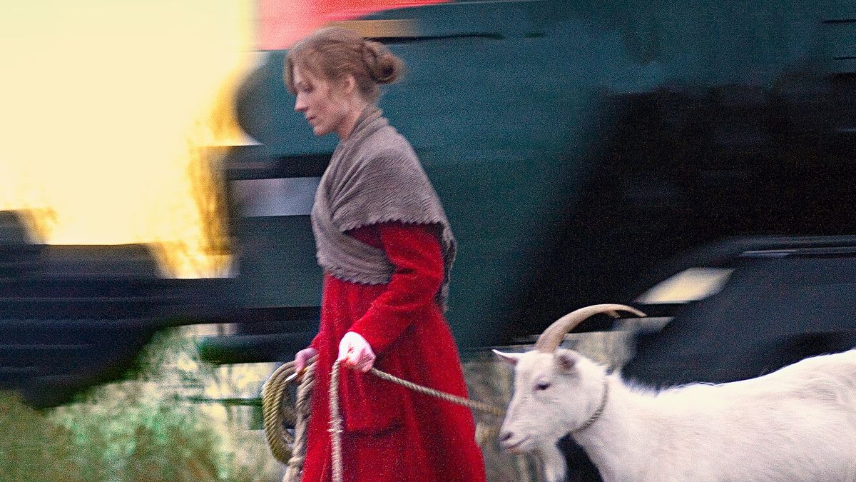 Путешествие с домашними животными