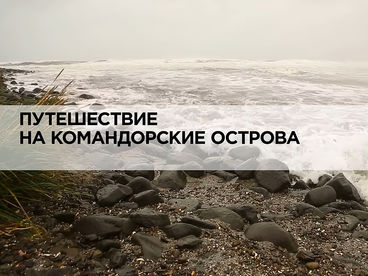 Путешествие на Командорские острова Путешествие на Командорские острова