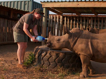 Африканская служба спасения Африканская служба спасения