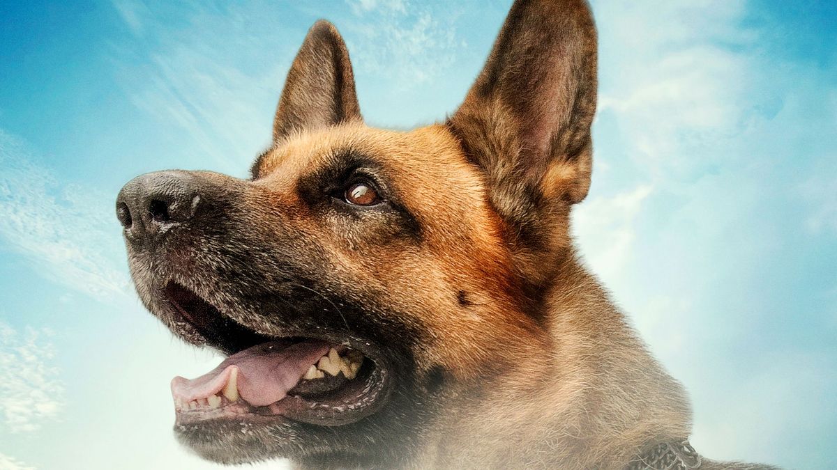 Самый лучший друг