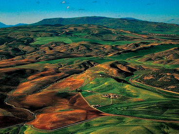 Алжир с высоты птичьего полёта Алжир с высоты птичьего полёта