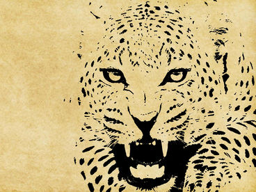 Загадочные животные острова Джао Загадочные животные острова Джао