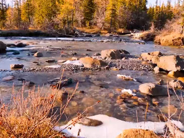 Горный лес Босния и Герцеговина Горный лес Босния и Герцеговина