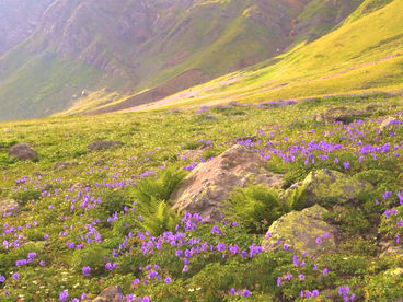 Тобаварчхили Грузия Тобаварчхили Грузия