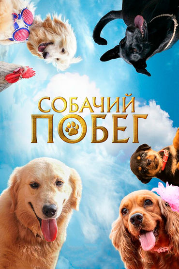 Собачий побег