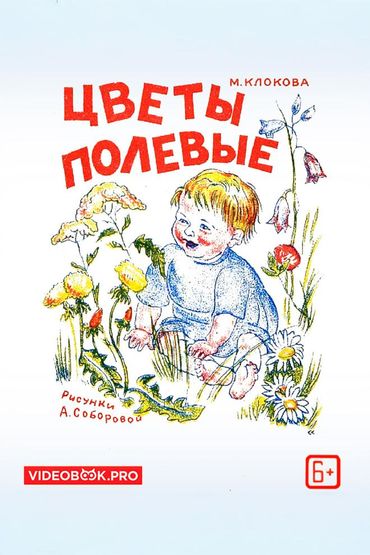 Цветы полевые