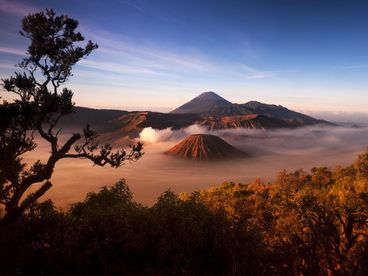 Индонезия Индонезия