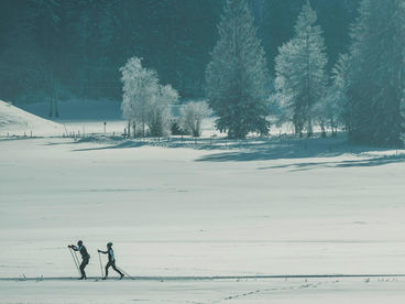 Лыжные гонки. Кубок России. 2025/2026