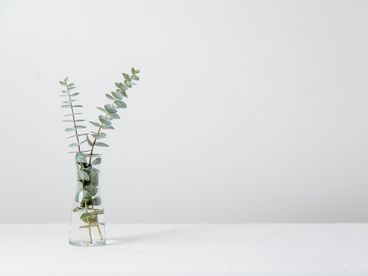 Культурная деревня Катара Культурная деревня Катара