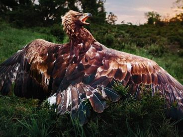 Удивительная Дания Удивительная Дания