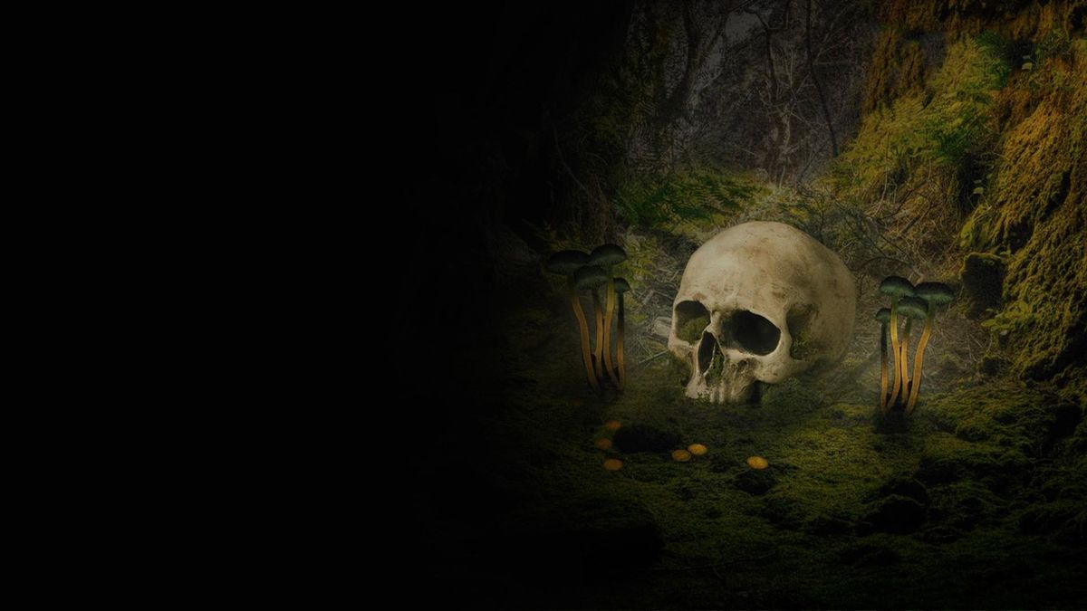 Тайны джунглей