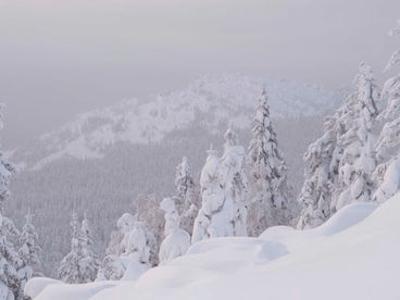 Митькины скалы Митькины скалы