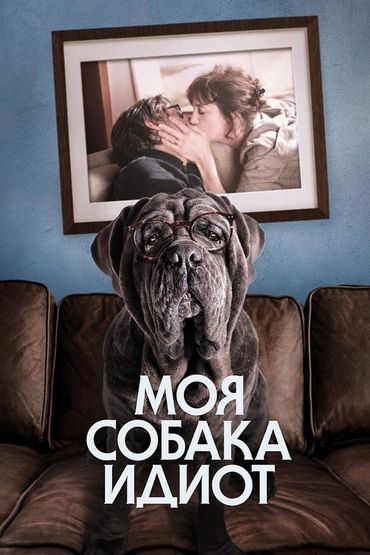 Моя собака идиот